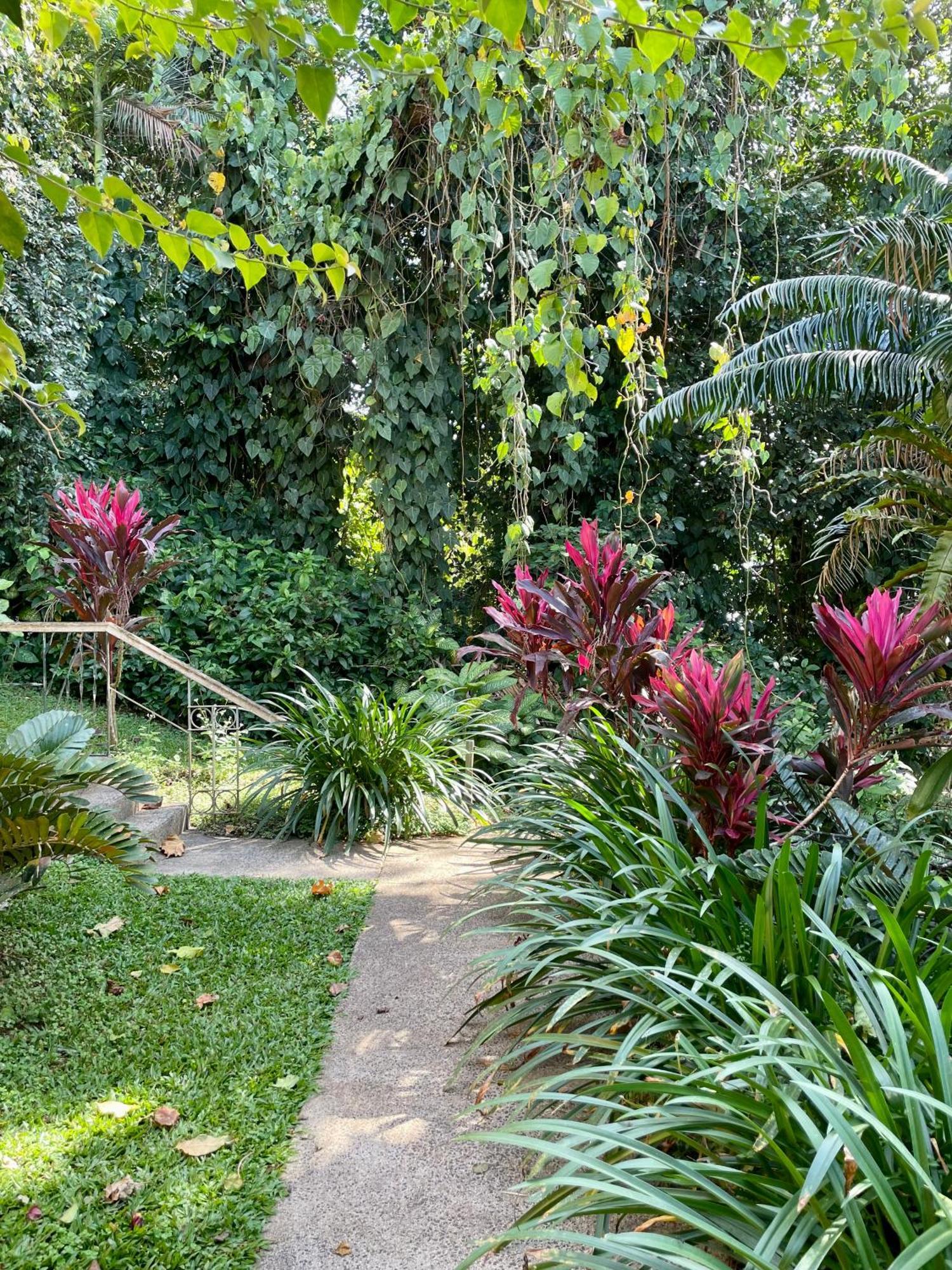 Babinda Quarters Hotell Exteriör bild